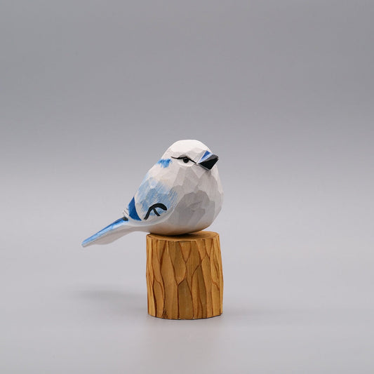 Classic White Blue Jay