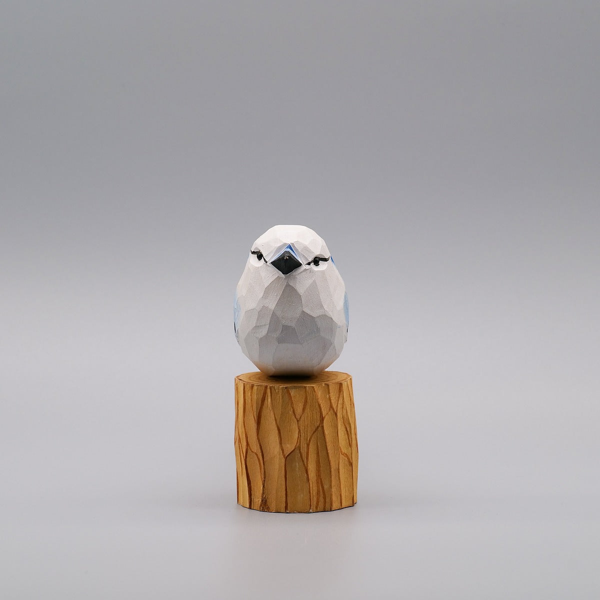 Classic White Blue Jay
