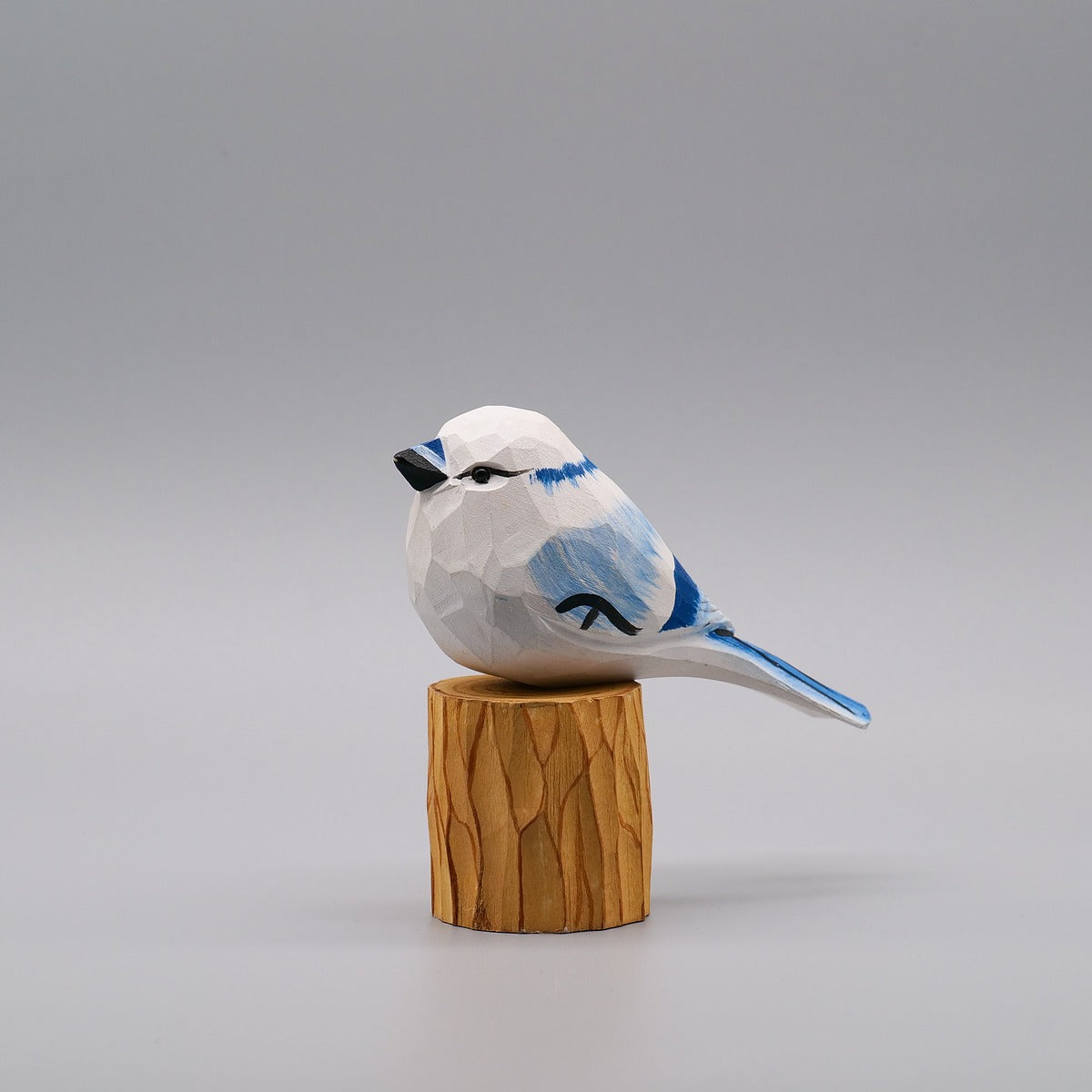 Classic White Blue Jay