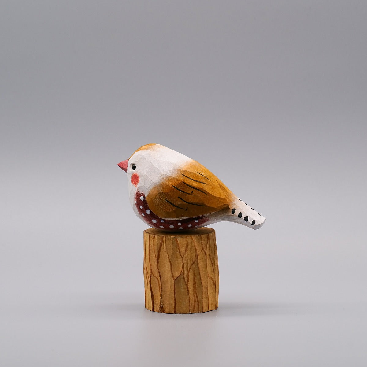 Classic Male Zebra Finch