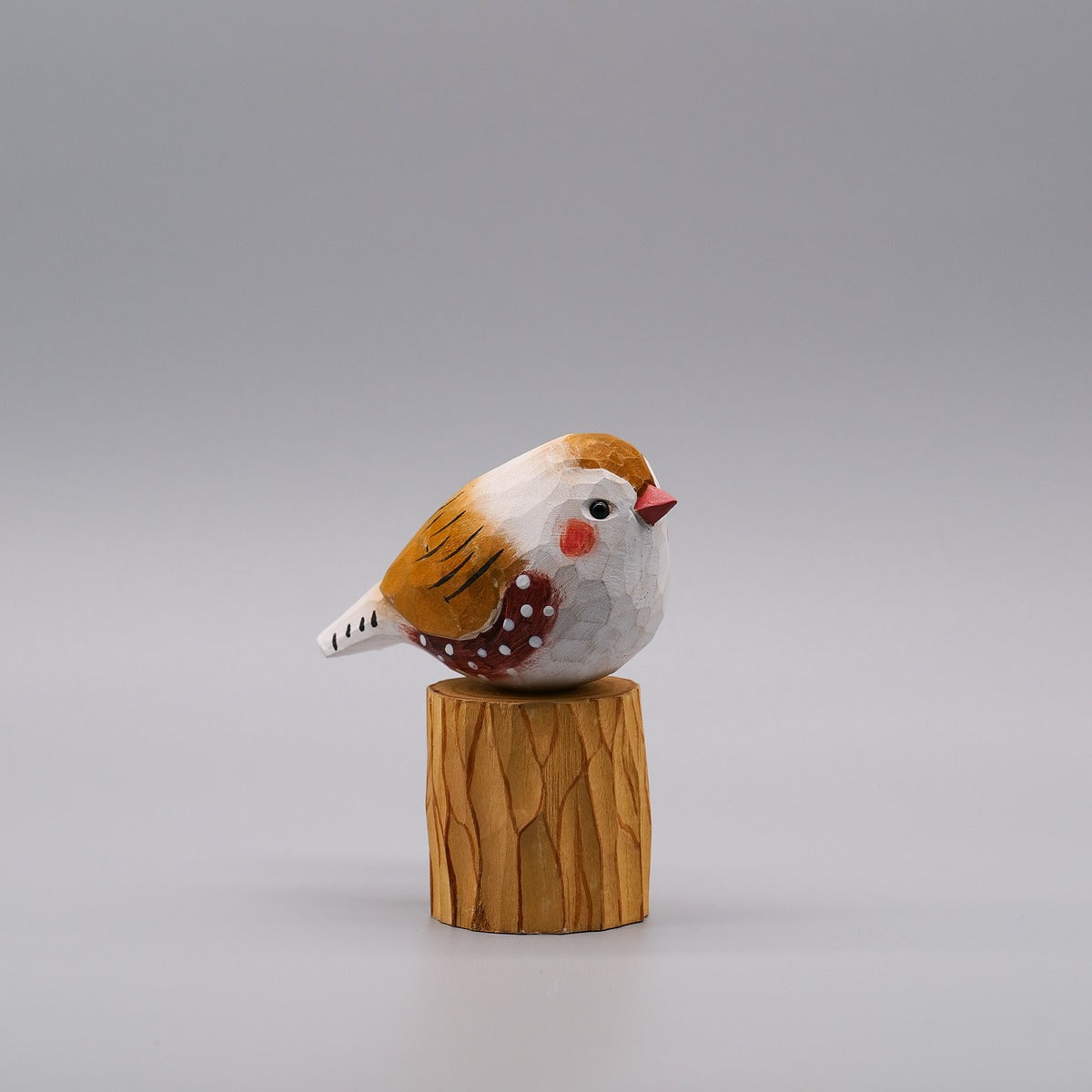 Classic Male Zebra Finch