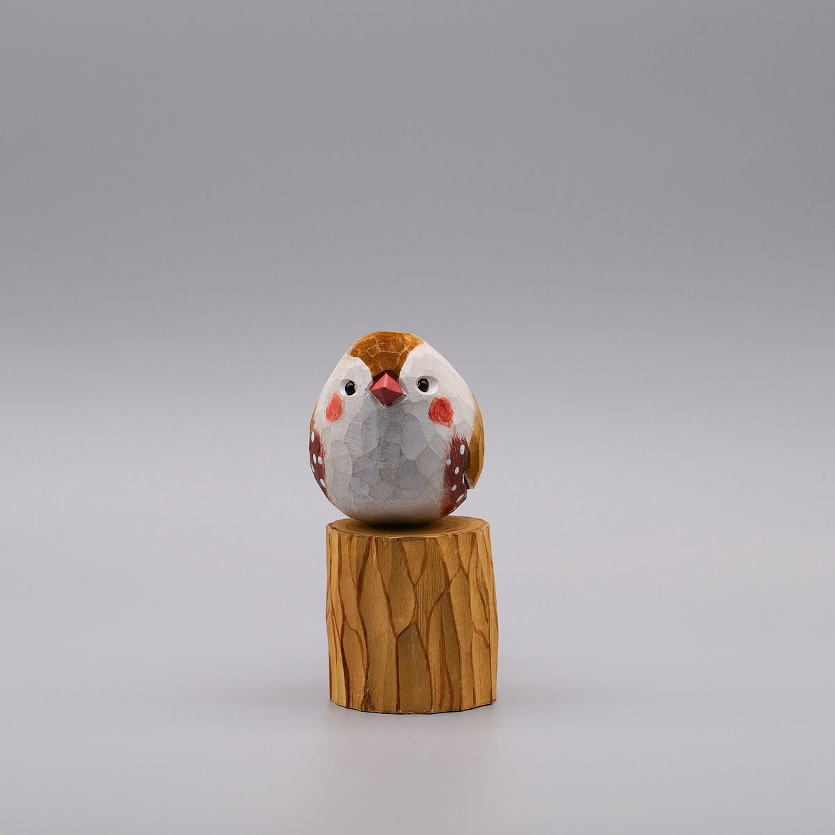 Zebra Finch Family Trio