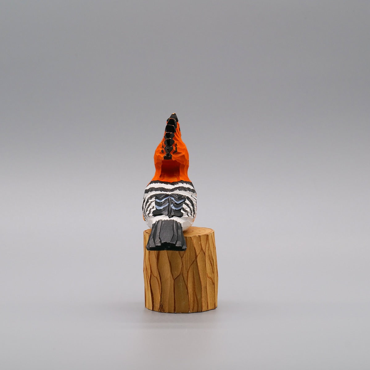 Classic Hoopoe