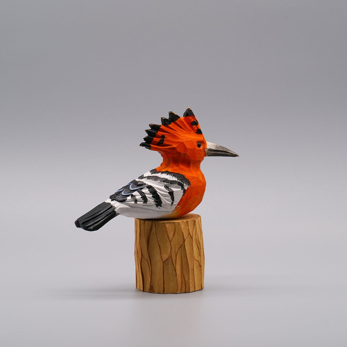 Classic Hoopoe