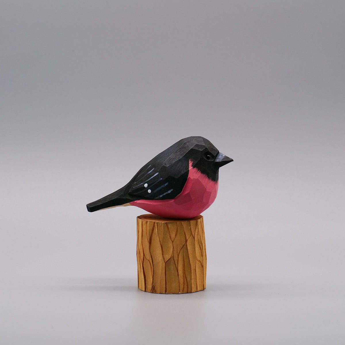 Set of 30 Birds