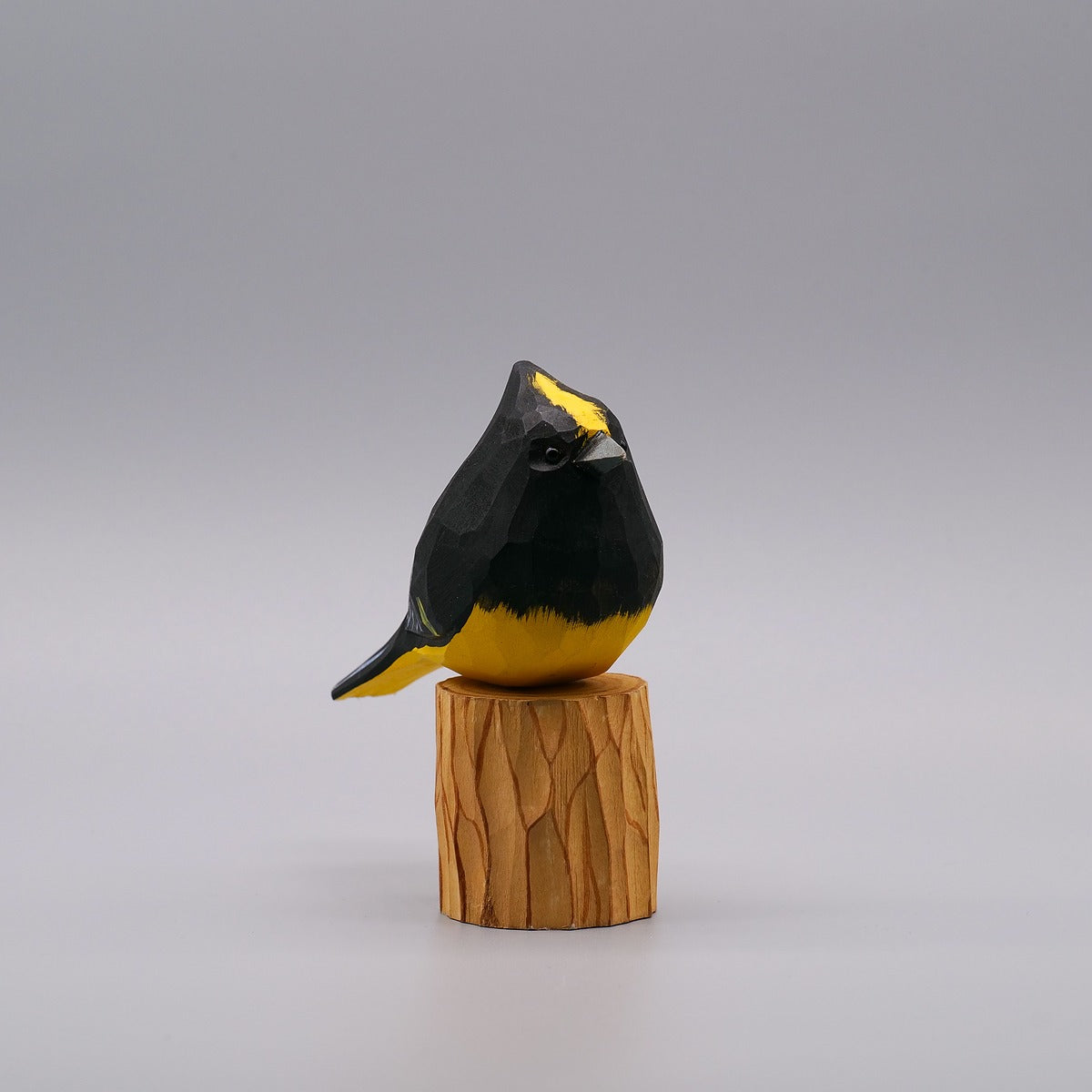 Classic Sultan Tit