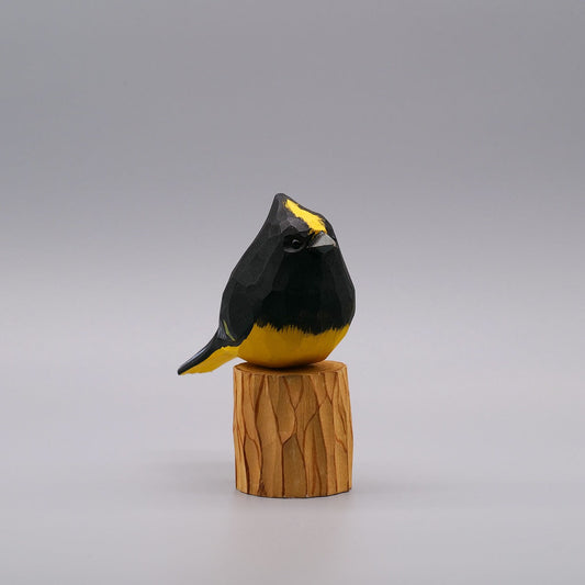 Classic Sultan Tit