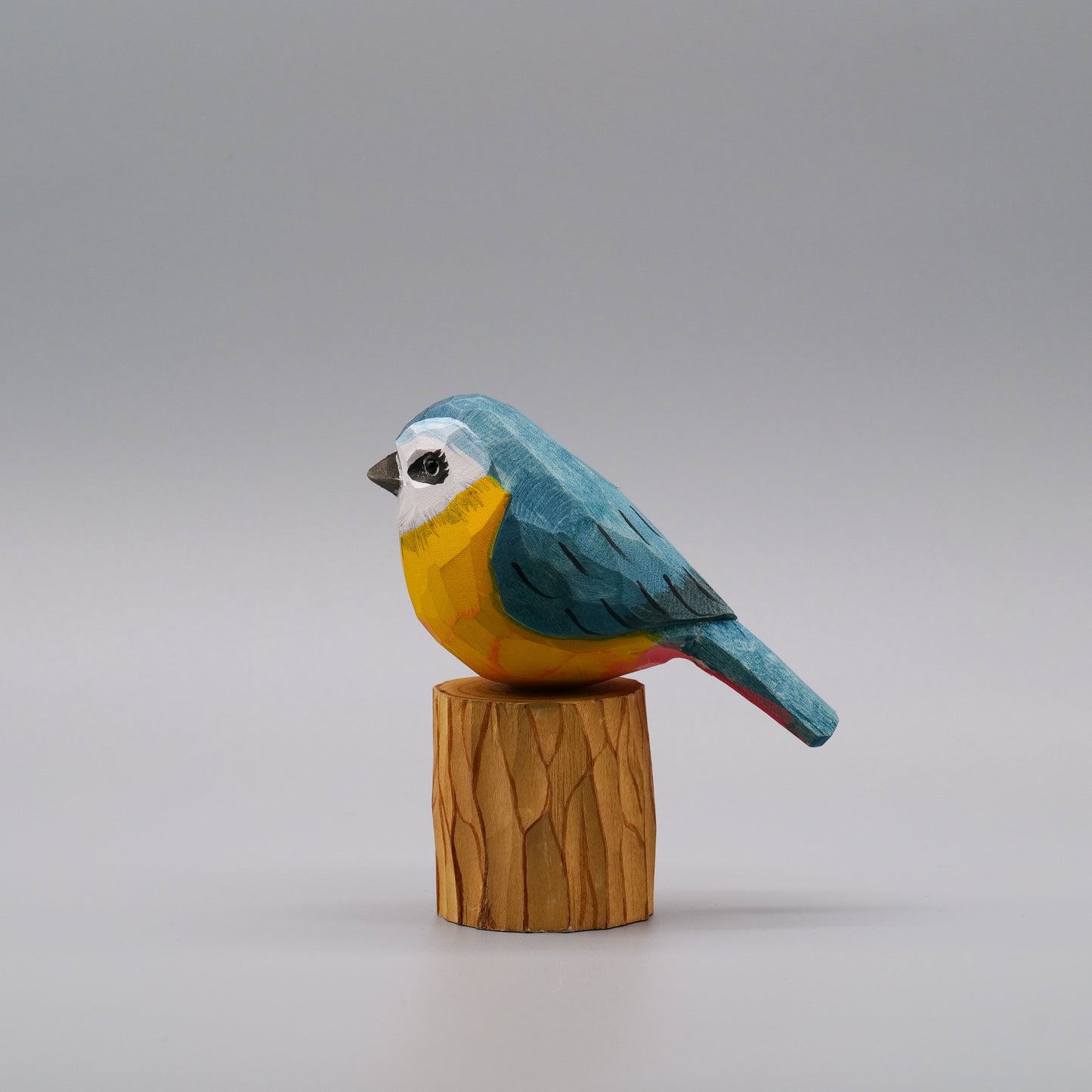 Classic Eurasian Blue Tit