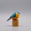 Classic Eurasian Blue Tit