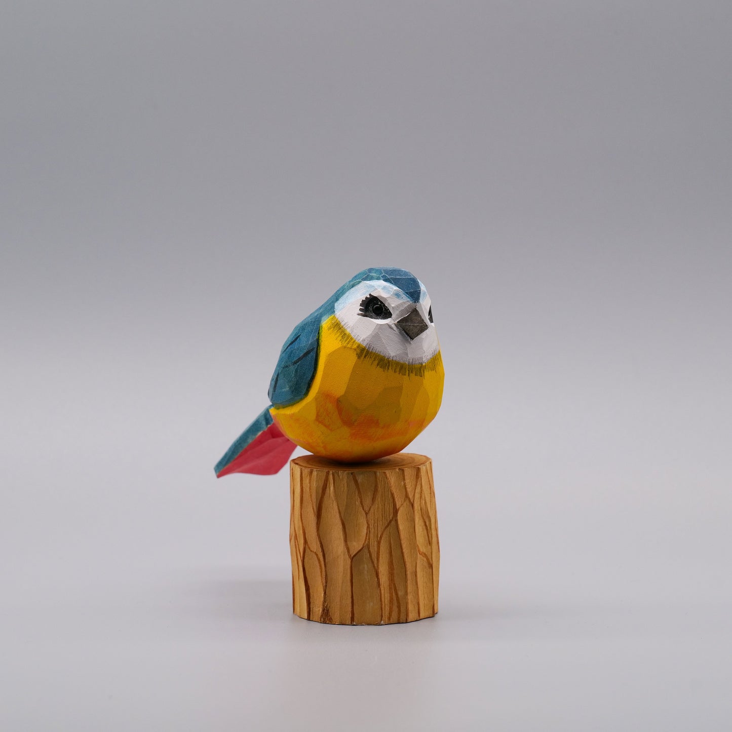 Classic Eurasian Blue Tit