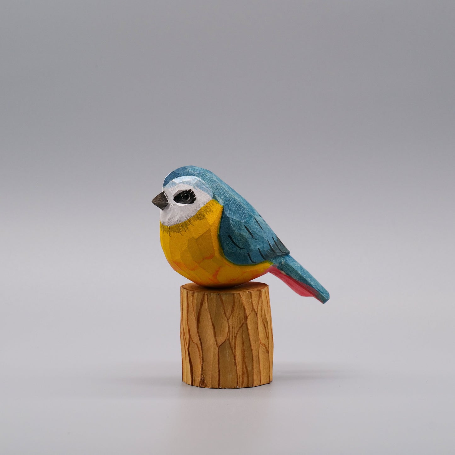 Classic Eurasian Blue Tit