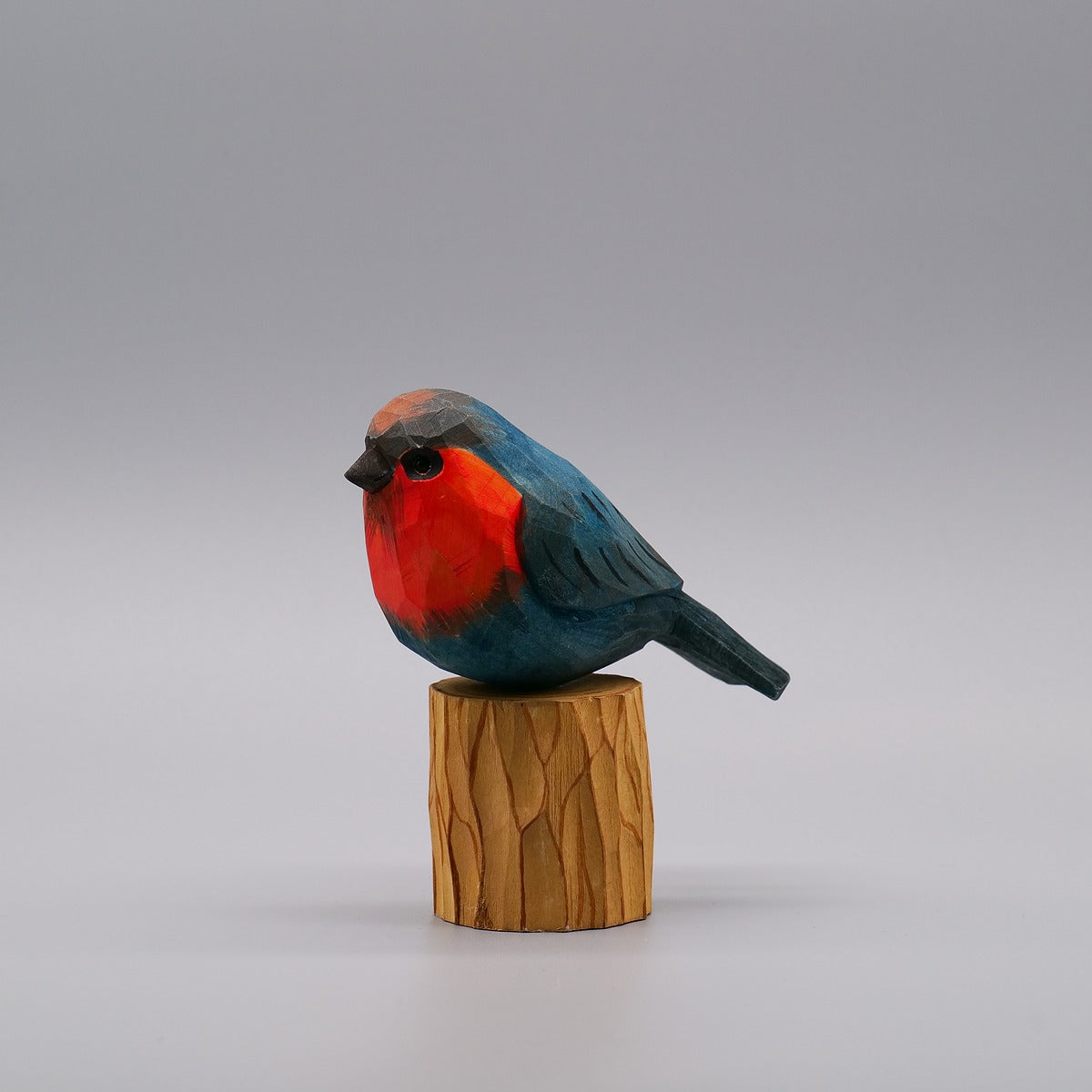 Classic Western Bluebird
