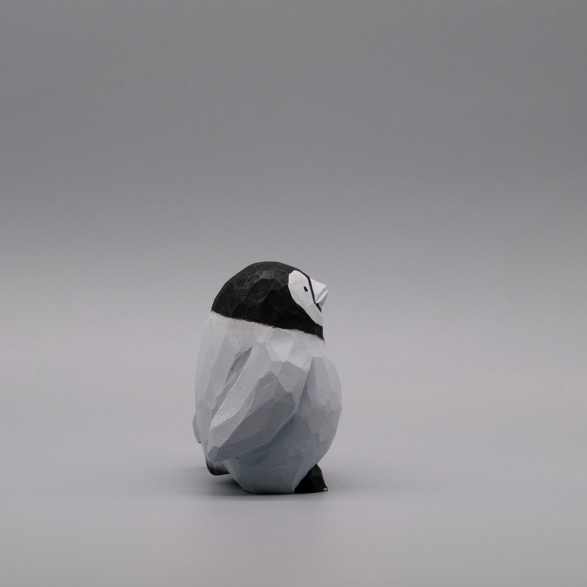 Baby Emperor Penguin