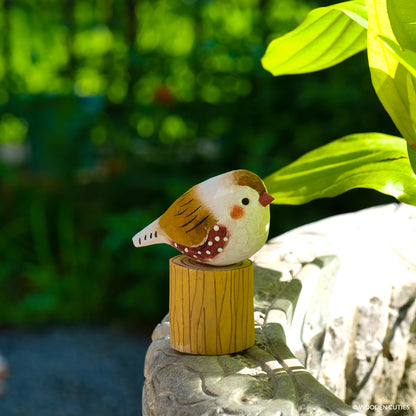 Zebra Finch #11 + Stand