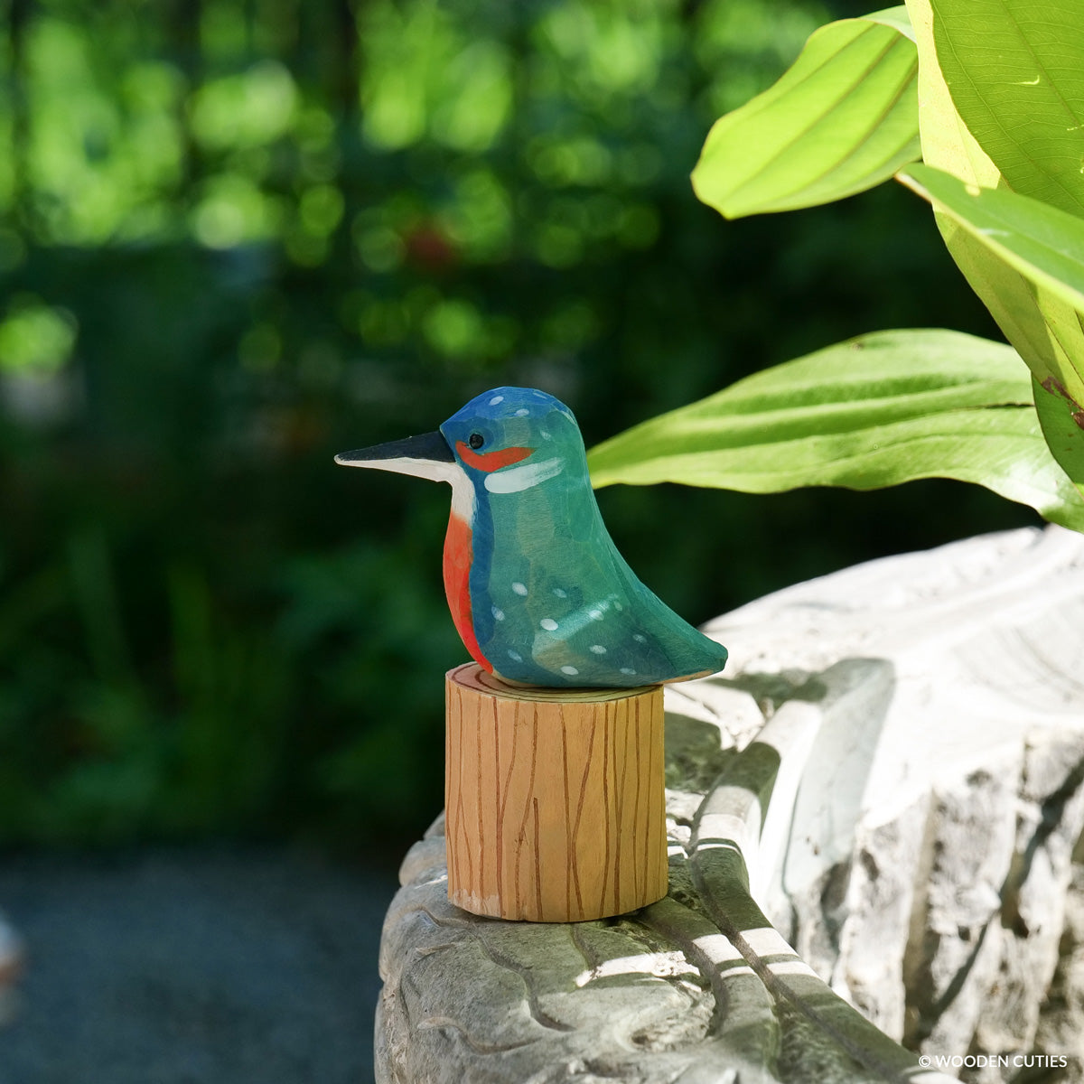 Classic Kingfisher