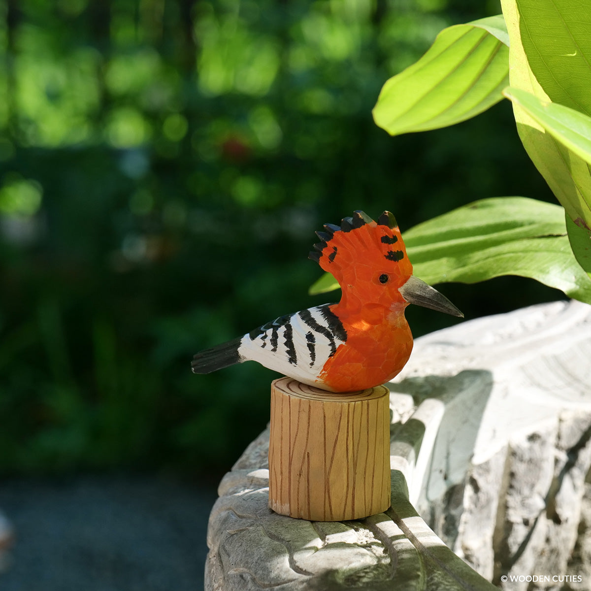 Classic Hoopoe