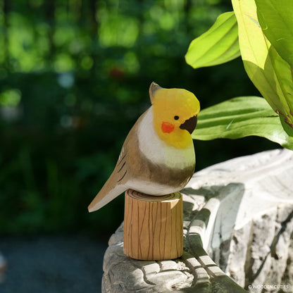 Grey Cockatiel + Stand