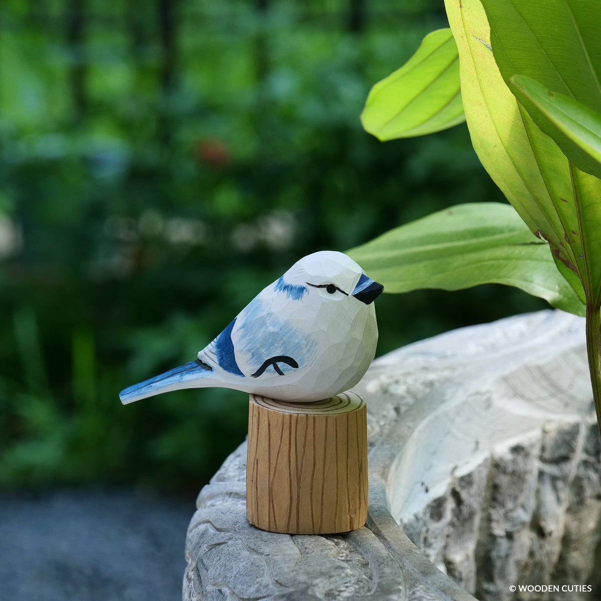 White Blue Jay #26 + Stand