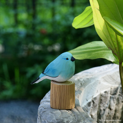 Mountain Bluebird #17 + Stand