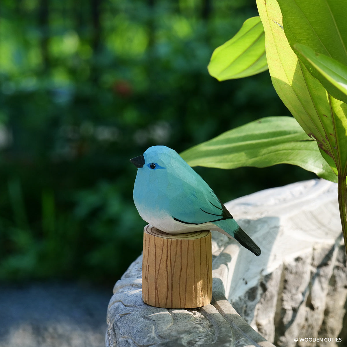 Mountain Bluebird #17 + Stand