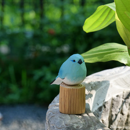 Mountain Bluebird #17 + Stand