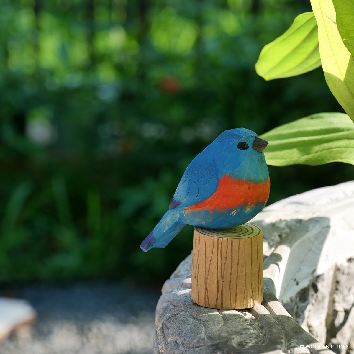 Classic Eastern Bluebird