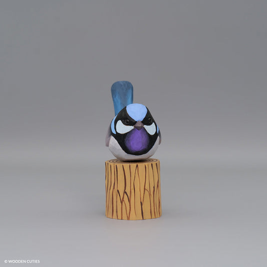Superb Fairywren