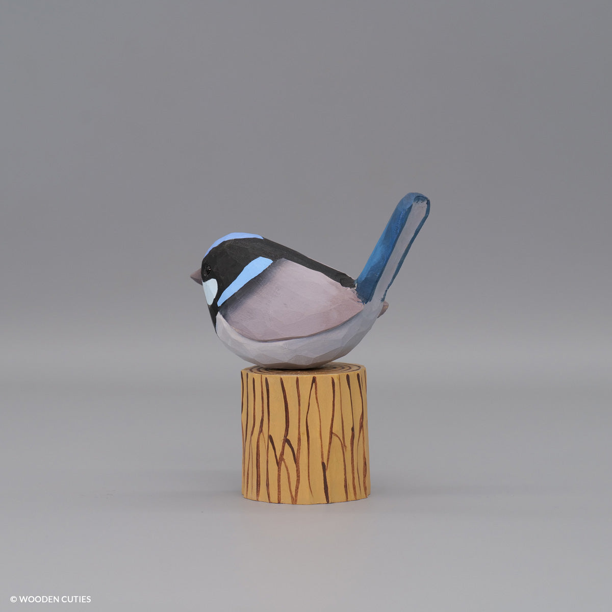 Superb Fairywren