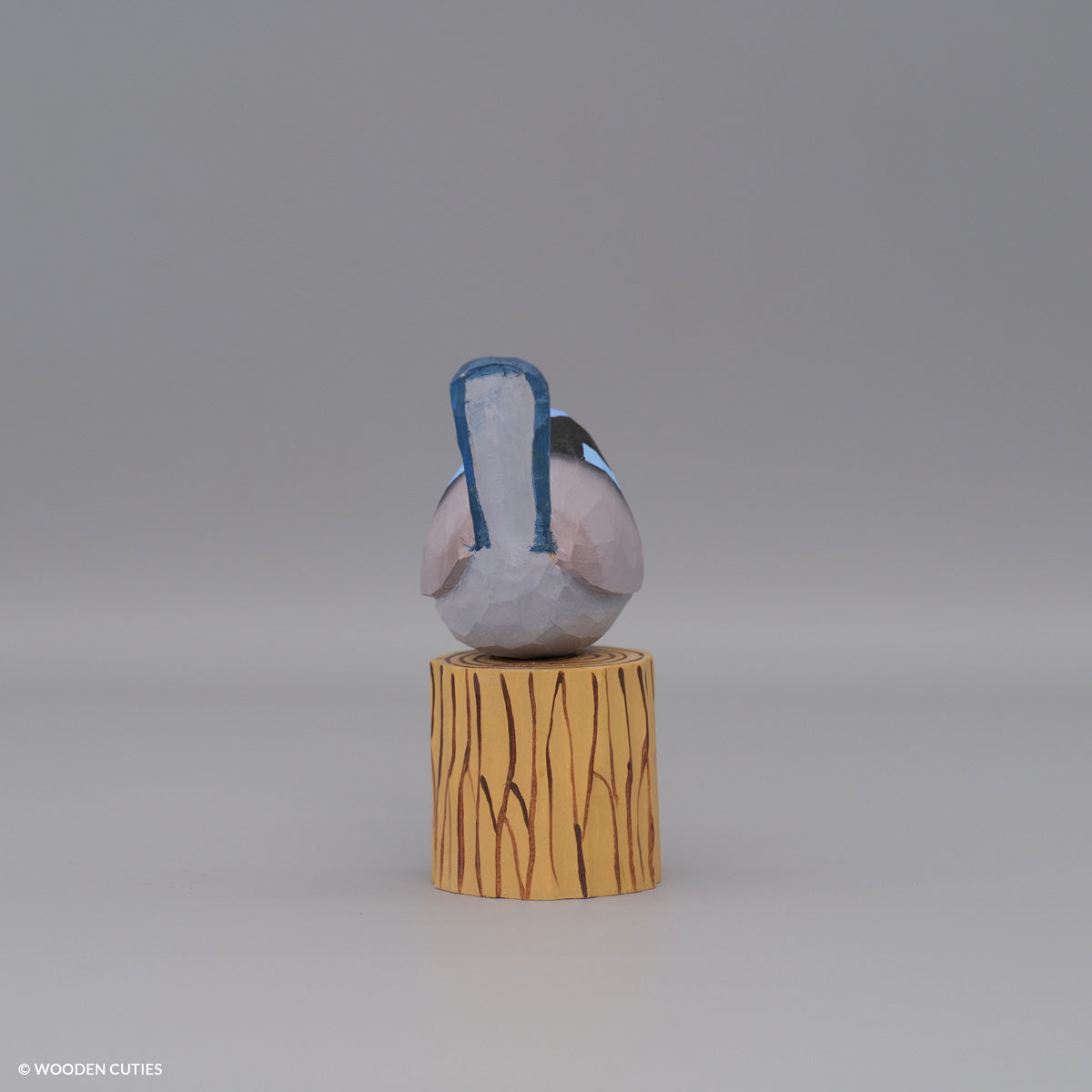 Superb Fairywren