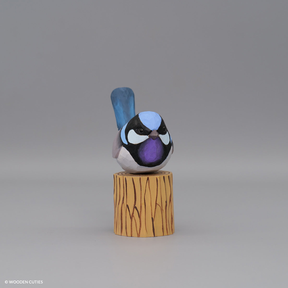 Superb Fairywren