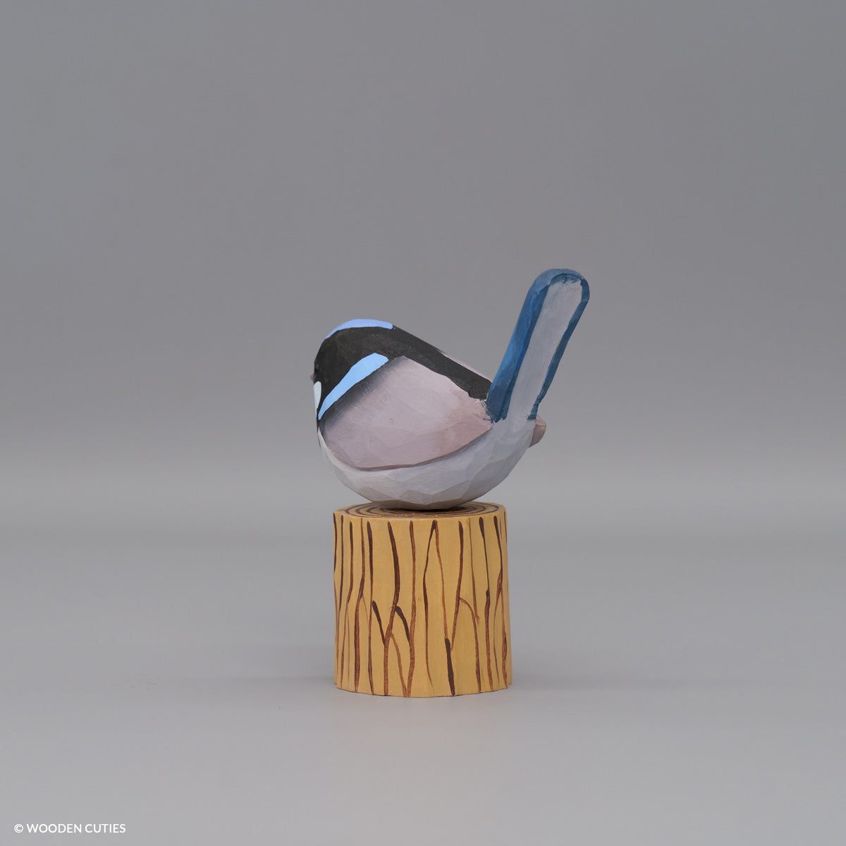 Superb Fairywren