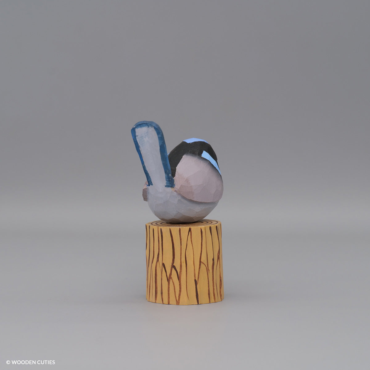 Superb Fairywren