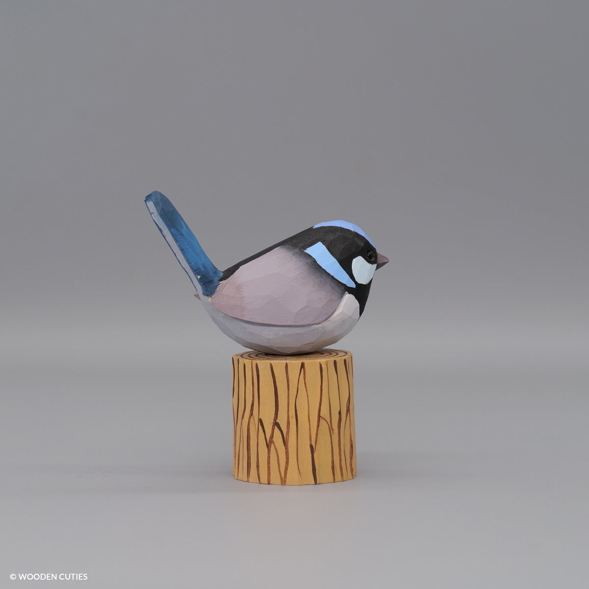 Superb Fairywren