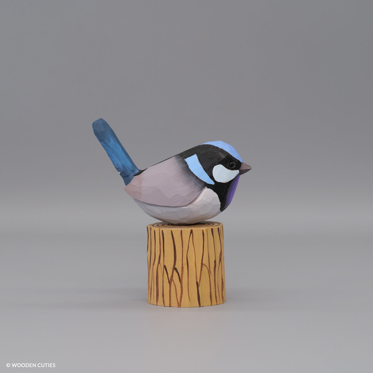 Superb Fairywren