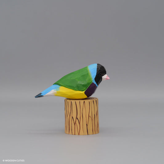 Gouldian Finch