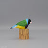 Gouldian Finch