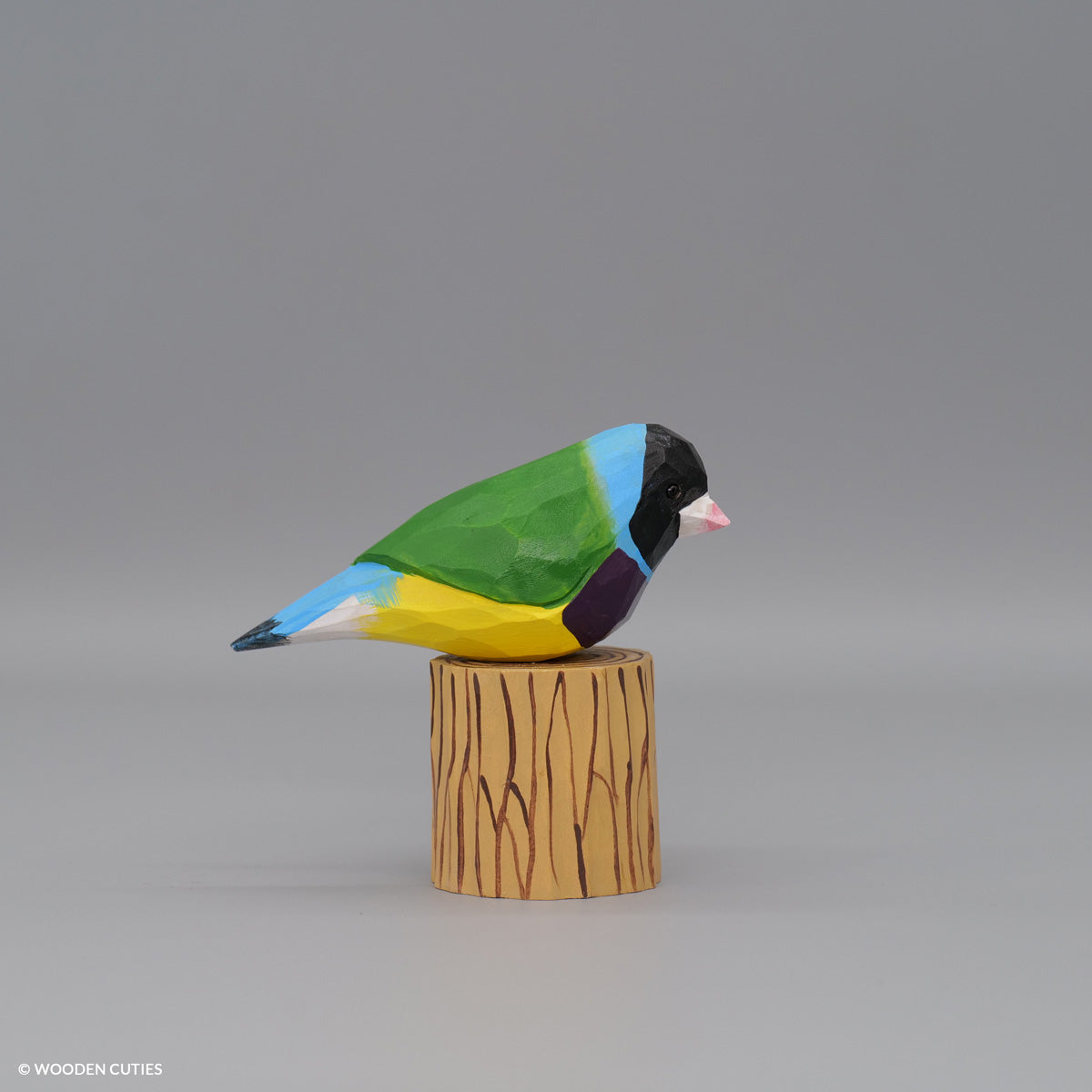 Gouldian Finch