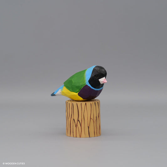 Gouldian Finch