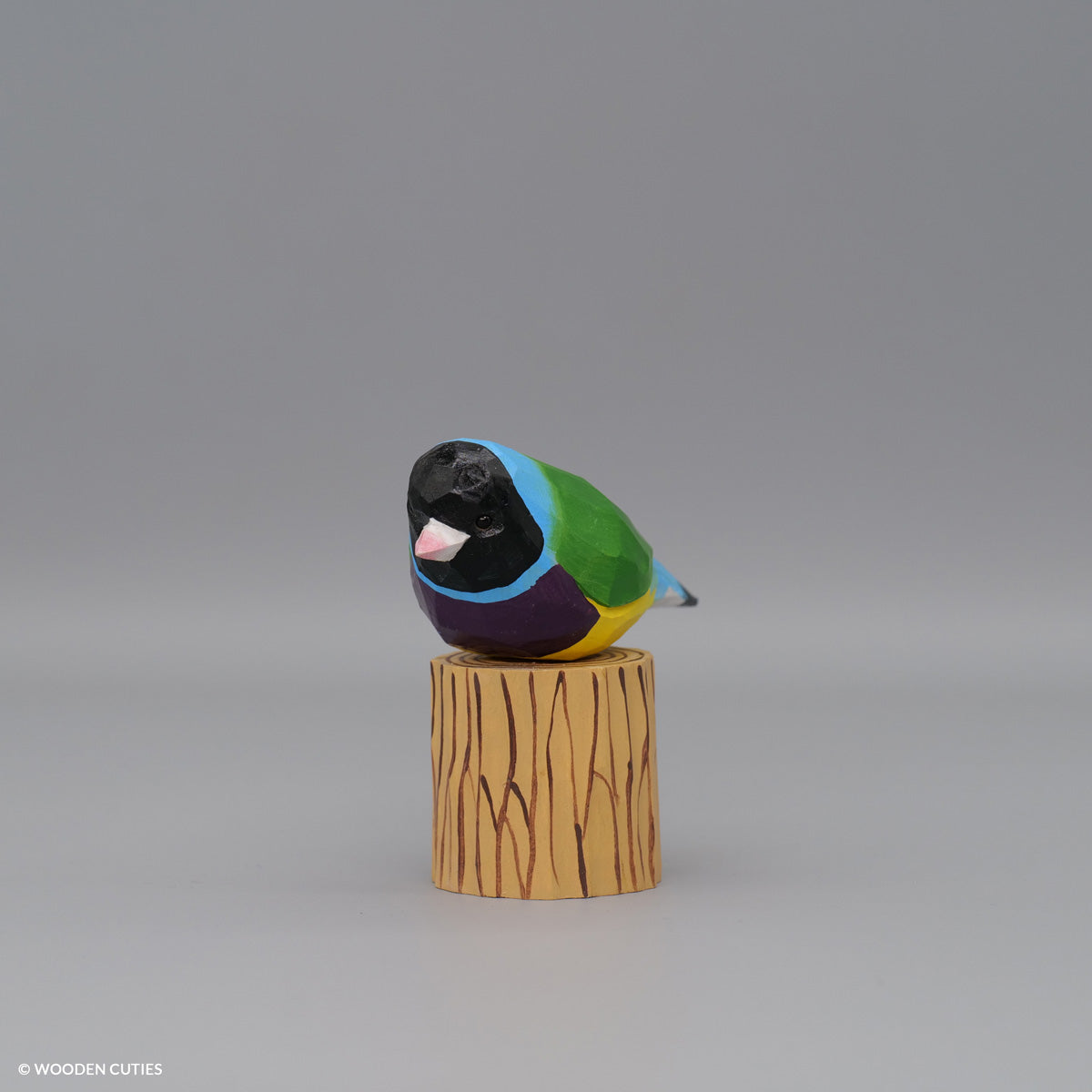 Gouldian Finch