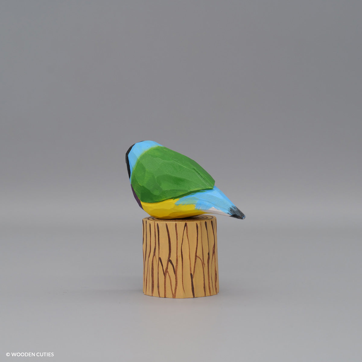 Gouldian Finch