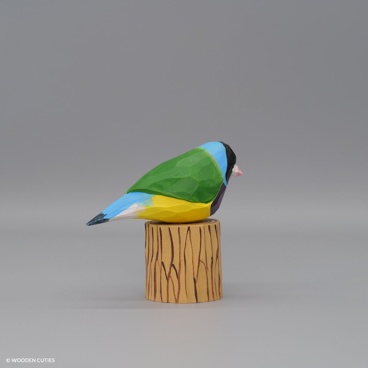 Gouldian Finch