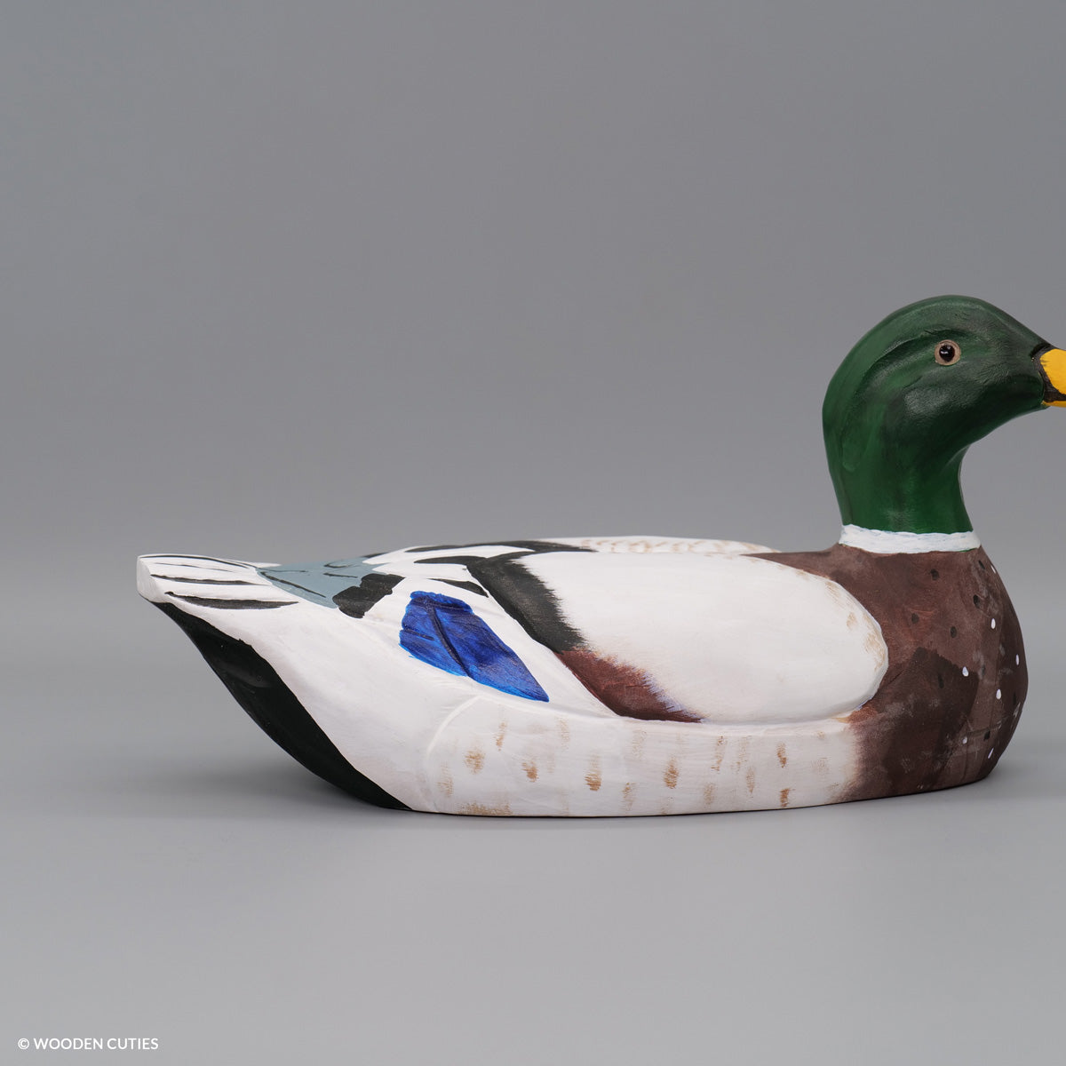 Mallard Duck