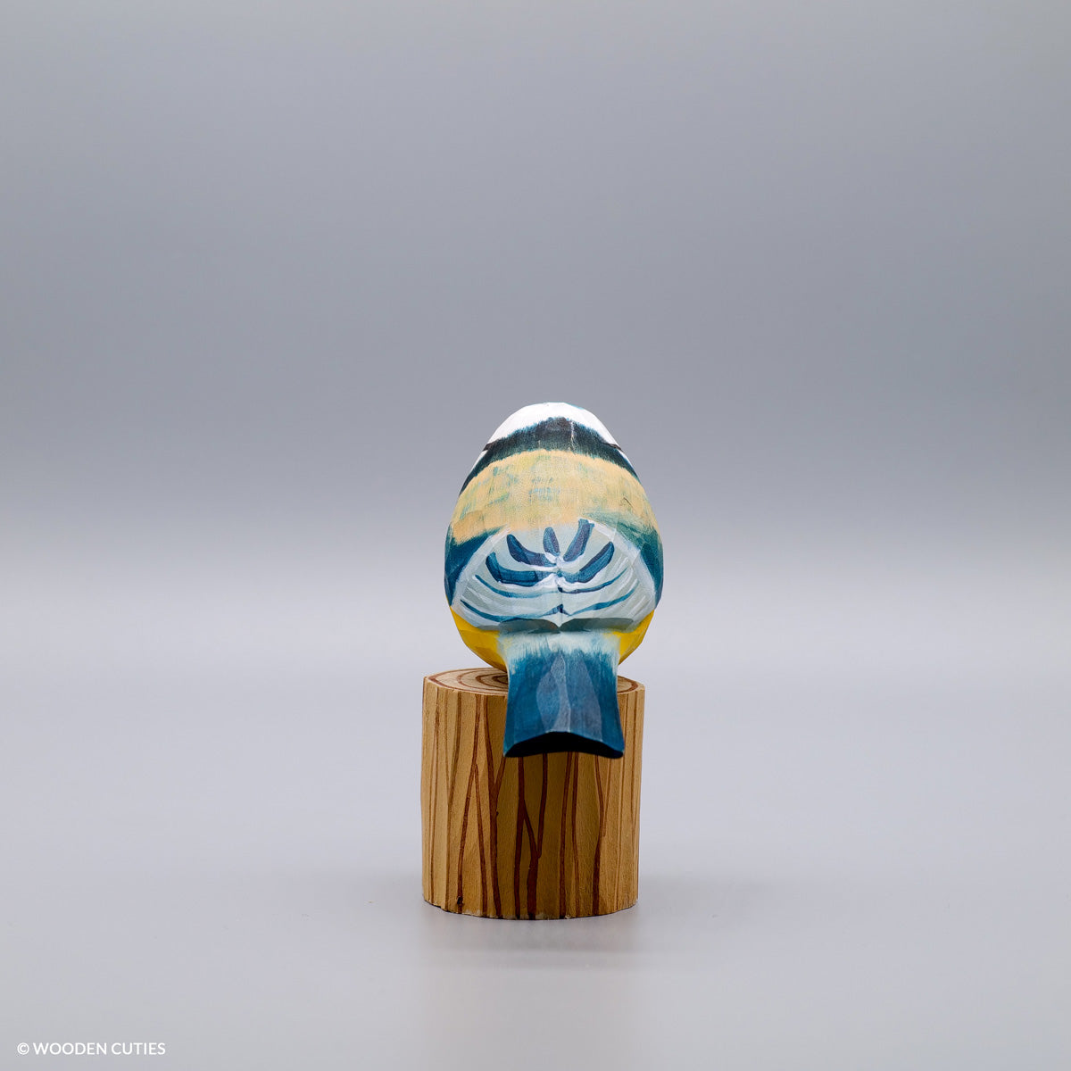 Blue Tit