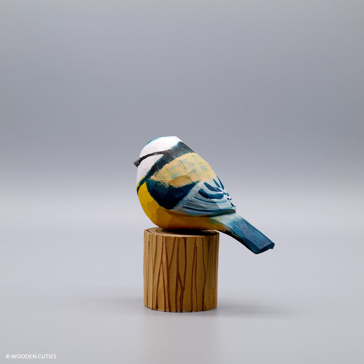 Blue Tit