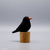 Blackbird