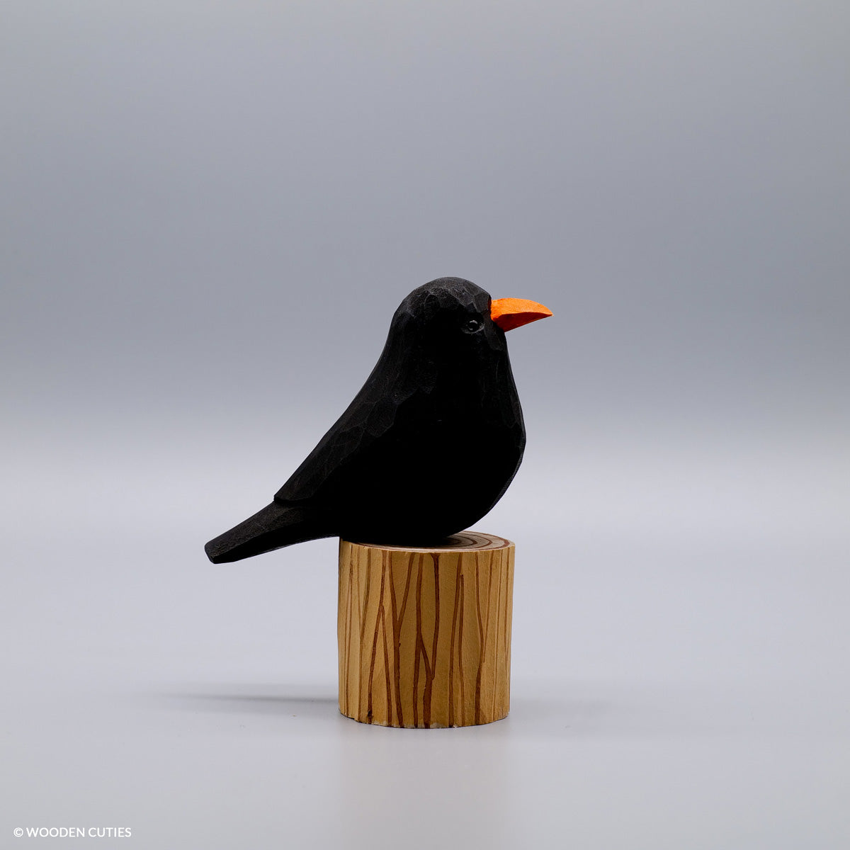 Blackbird