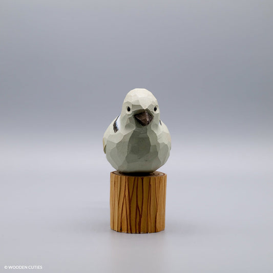 Dove