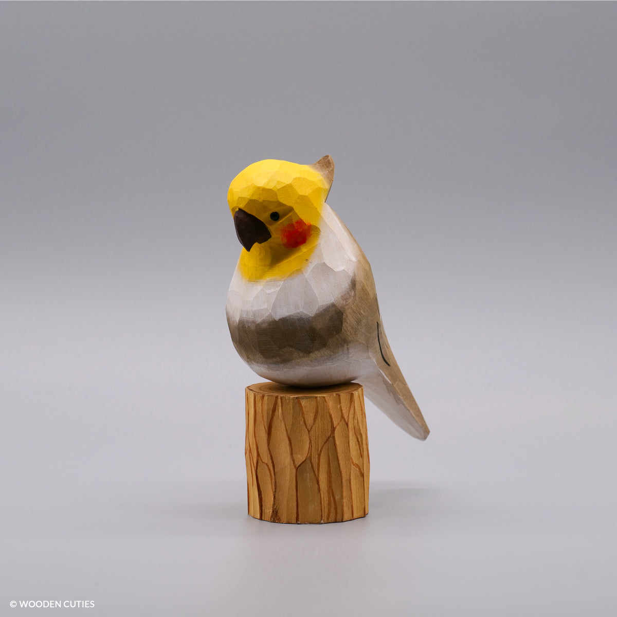 Classic Grey Cockatiel