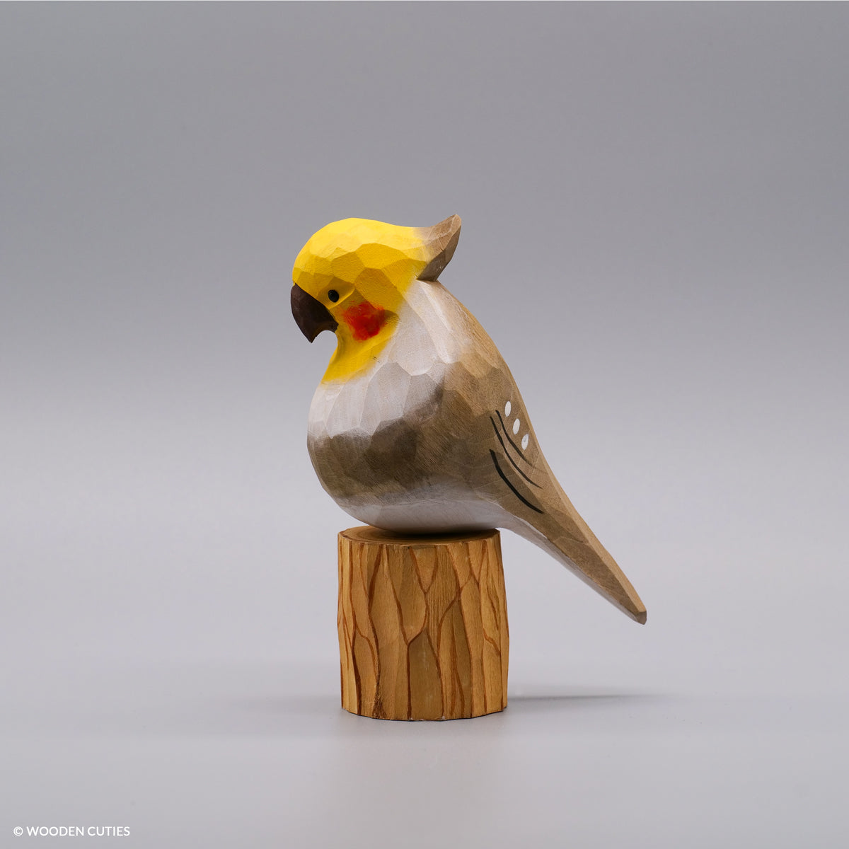 Classic Grey Cockatiel