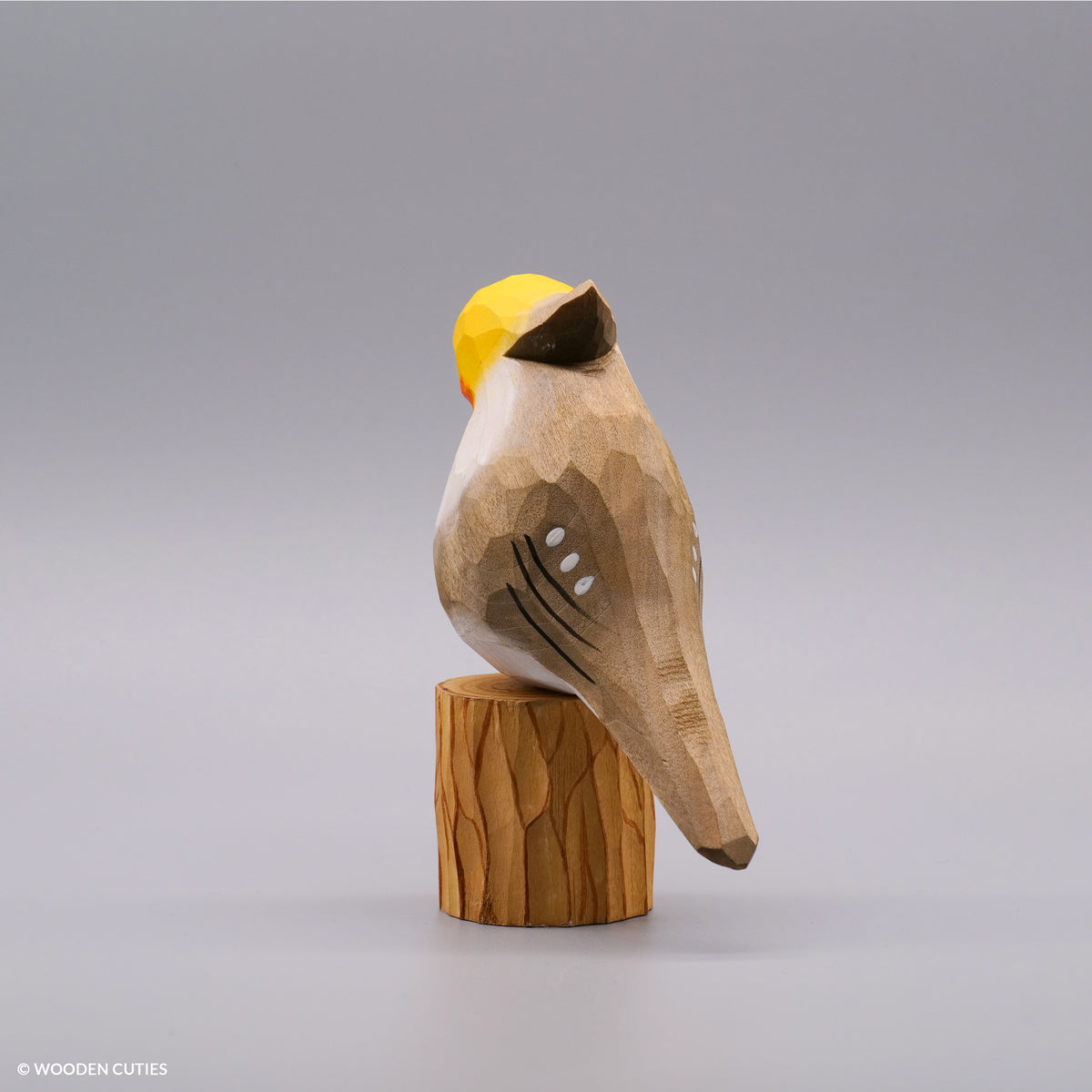 Classic Grey Cockatiel